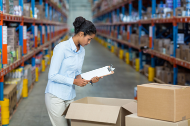 closeout pet products