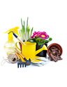 Hardware Buyer